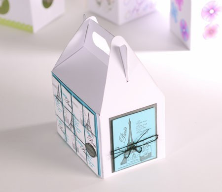 Caja Scrapbooking ¡Mira Nuestra Bonita Caja Picnic!