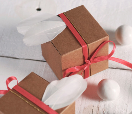 Cajita Regalo Cuadrada con Plumas