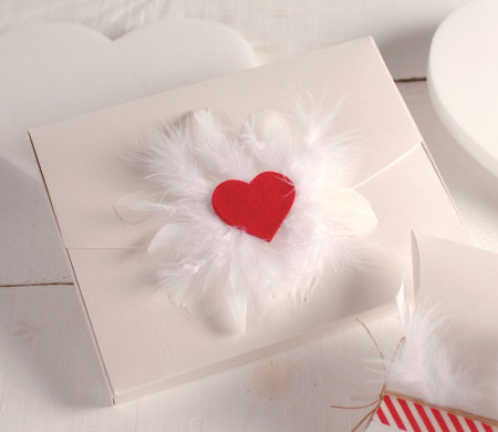Caja con corazón y plumas