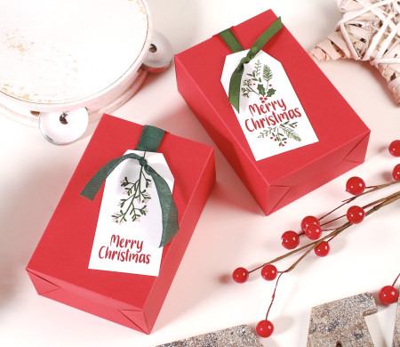 Caja de regalo con cinta para Navidad