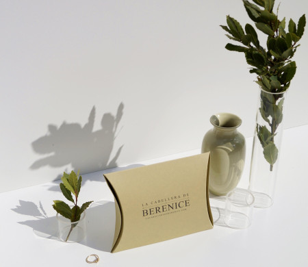 Estuche elegante para joyería