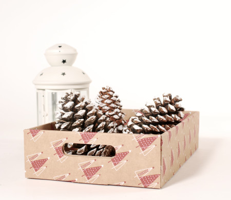 Bandeja de cartón Navideña para packaging de regalos