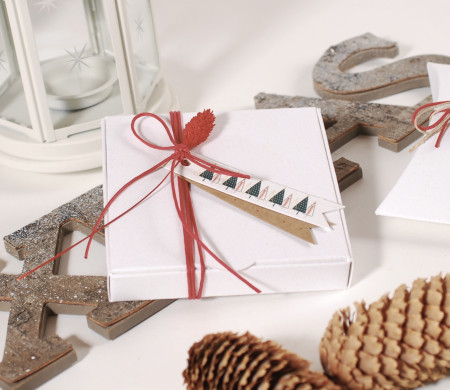 Packaging navideño para joyas