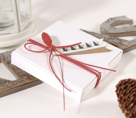 Packaging navideño para joyas Packaging navideño para joyas