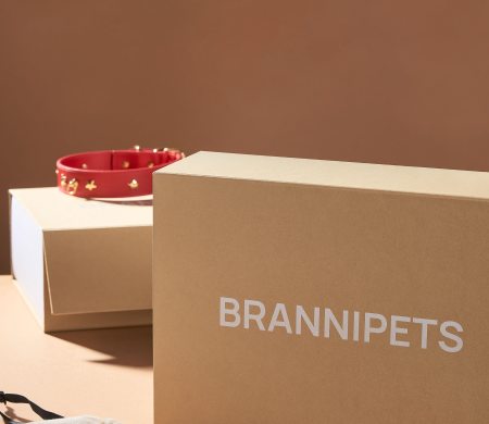 Caja forrada automontable con impresión de Brannipets