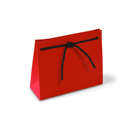 Bolsa Regalo de Cartón con Cordón Incorporado