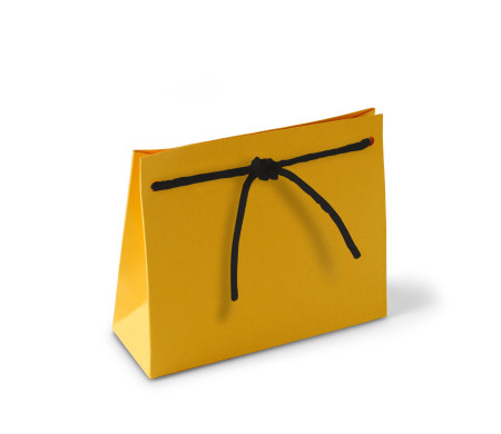 Bolsa Regalo de Cartón con Cordón Incorporado