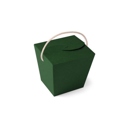 Caja de Fideos Chinos