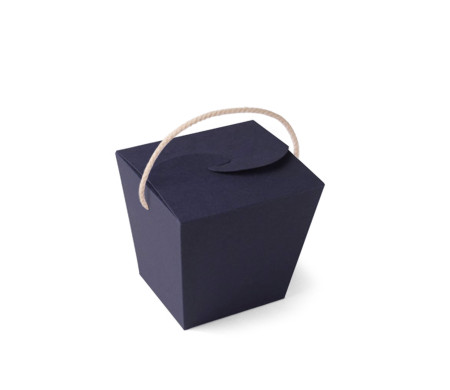 Caja de Fideos Chinos