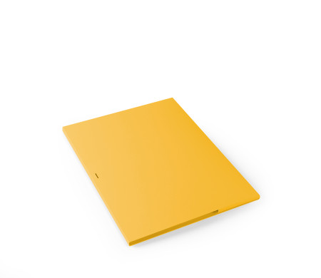 Carpeta de Cartón para Entregar Fotos y CDs
