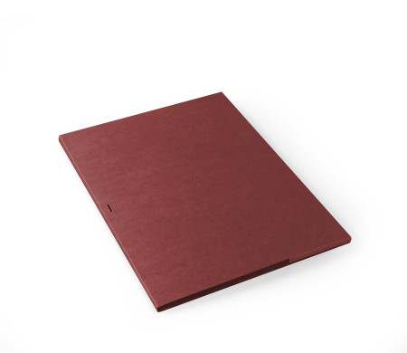 Carpeta de Cartón para Entregar Fotos y CDs