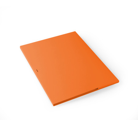 Carpeta de Cartón para Entregar Fotos y CDs