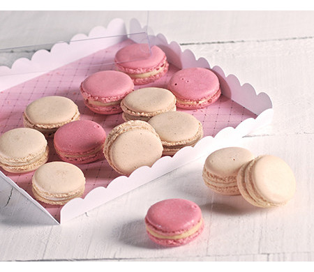Caja para Galletas con Tapa Transparente