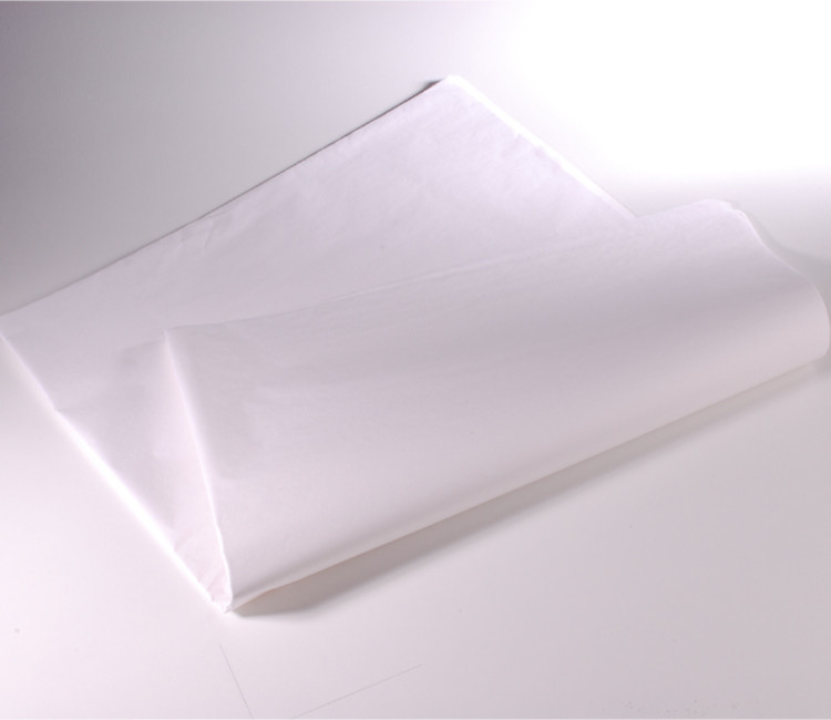 Papel de Seda ¡Envuelve Bonito tus Detalles!