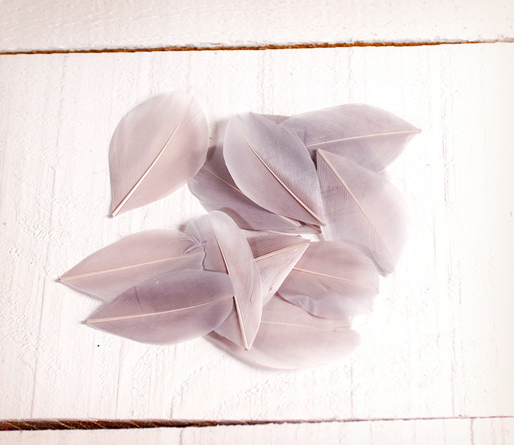 Plumas decorativas