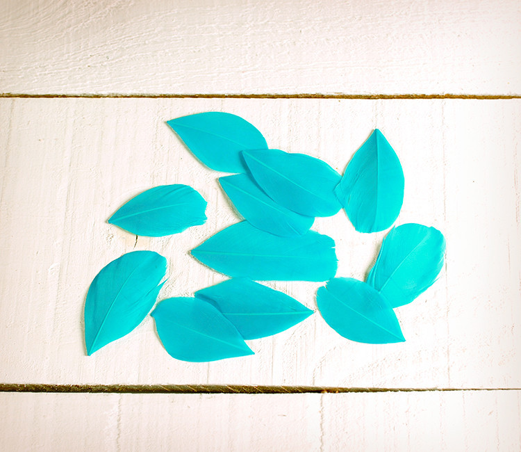 Plumas decorativas