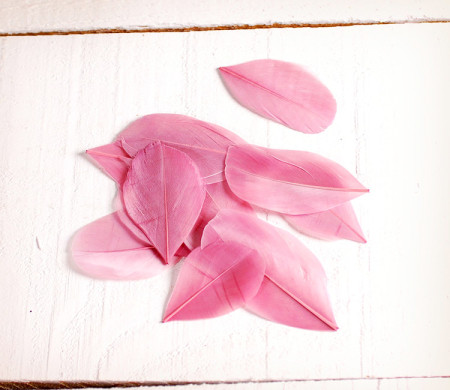 Plumas decorativas