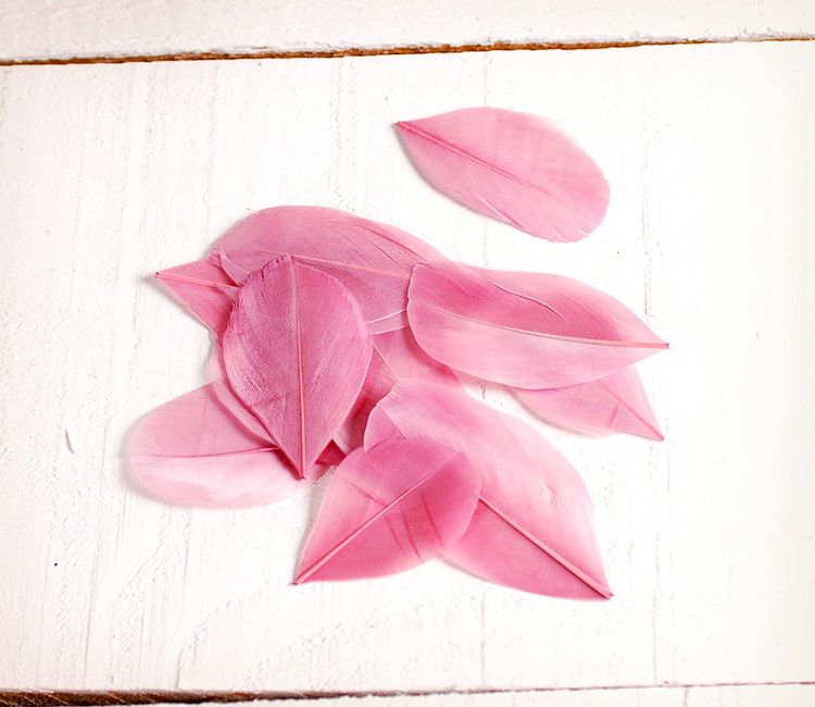 Plumas decorativas