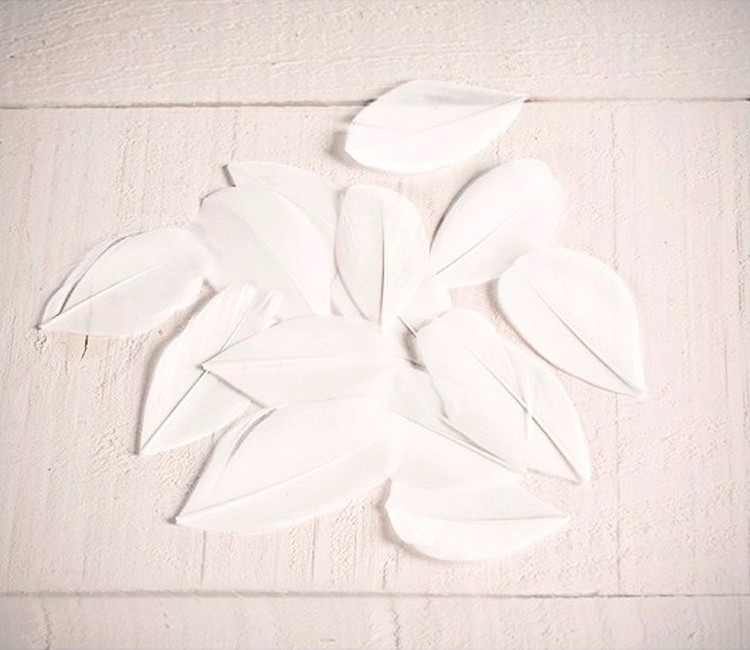Plumas decorativas