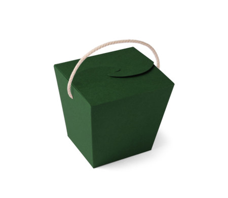 Caja de Fideos Chinos