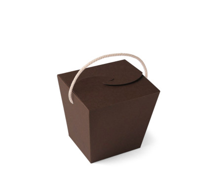 Caja de Fideos Chinos