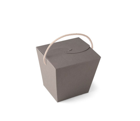 Caja de Fideos Chinos