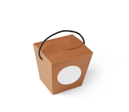 Caja de Fideos Chinos
