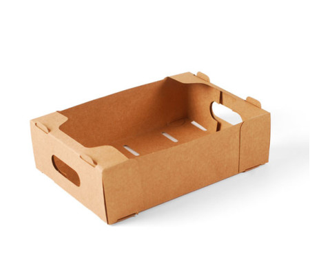 Caja de cartón para frutas pequeñas