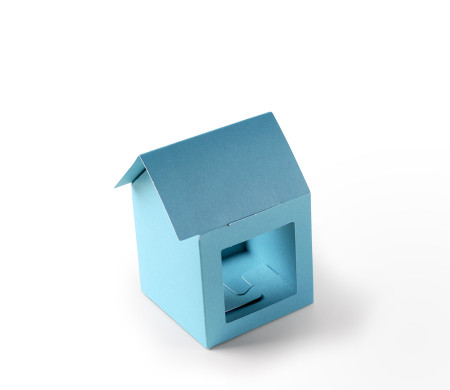 Caja Casita de Cartón ¡Cajas Originales!