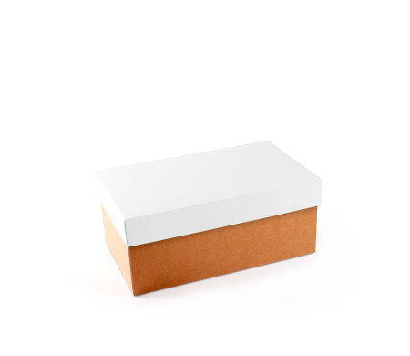 Caja para Zapatos ¡Organiza tu Calzado!
