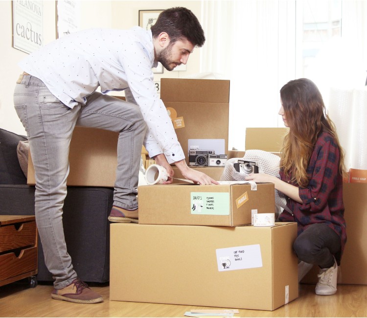 Kit Grande con 21 Cajas para Mudanzas con Accesorios Kit Grande con 21 Cajas para Mudanzas con Accesorios