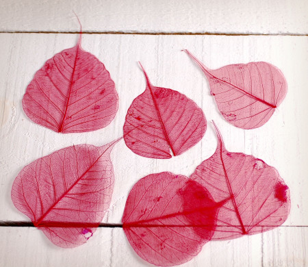 Hojas decorativas para scrapbooking
