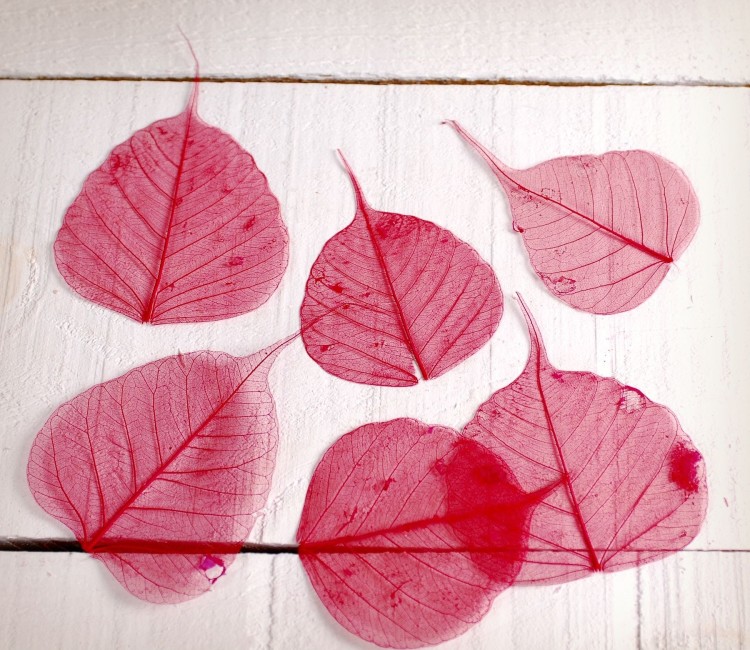 Hojas decorativas para scrapbooking