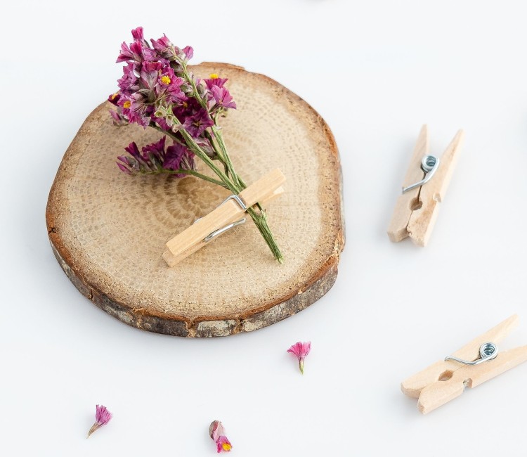 Pinzas de madera mini