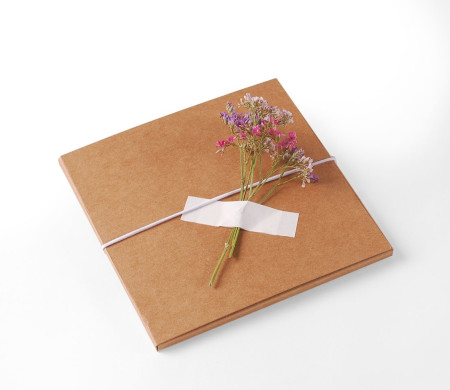 Caja para Fotógrafos ¡Para Entregar Tus Fotos!