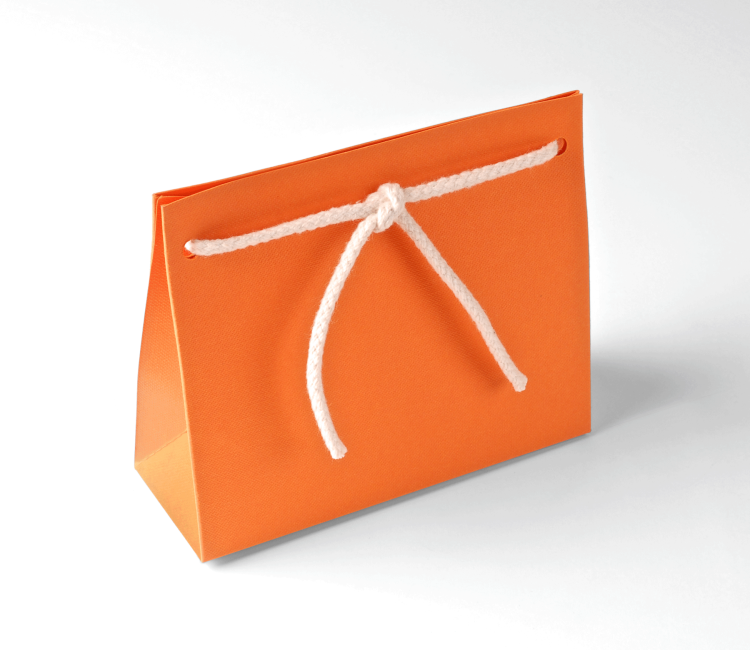 Bolsa Regalo de Cartón con Cordón Incorporado