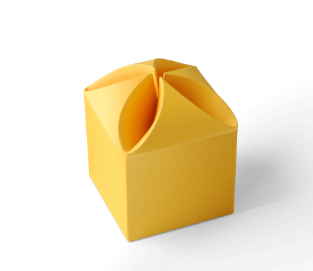 Caja Regalo con Un Sorprendente Cierre en Flor
