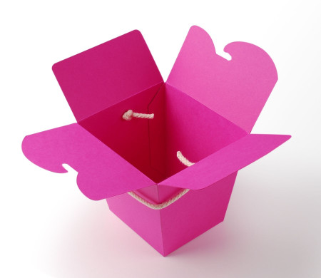 Caja de Fideos Chinos