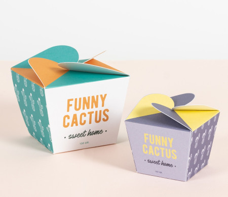 Caja para Cremas, Original y en Forma de Flor