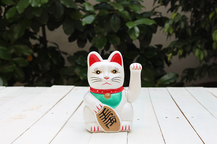 gato-chino-pintado-con-spray