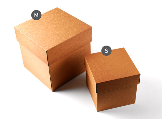 Caja para envíos con tapa