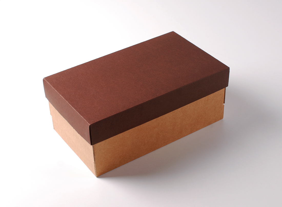 Caja para zapatos