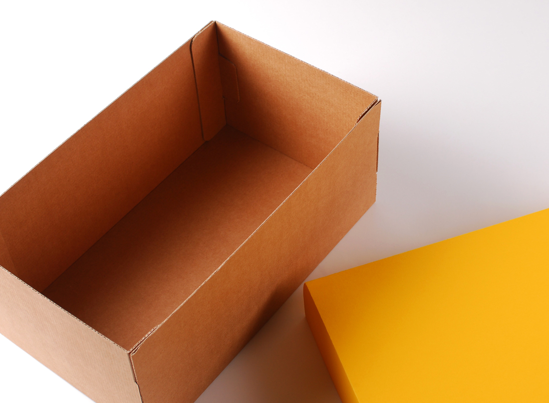 Caja para zapatos