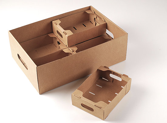 Caja de cartón con tapa para verduras