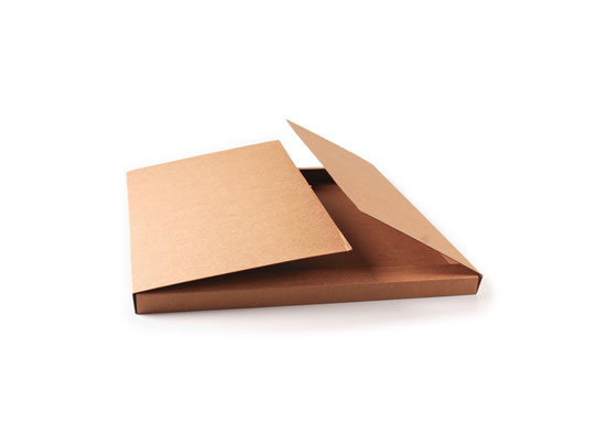 Carpeta de cartón grande para envíos