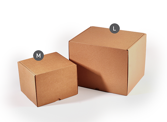 Caja de envío alta automontable